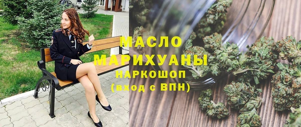 spice Богородицк