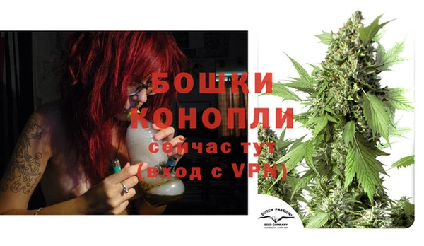 метадон Белокуриха
