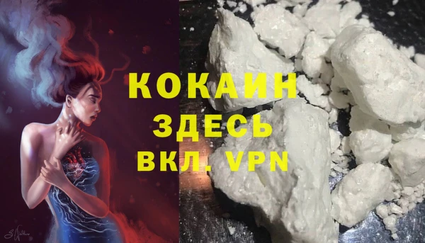 спайс Богородск