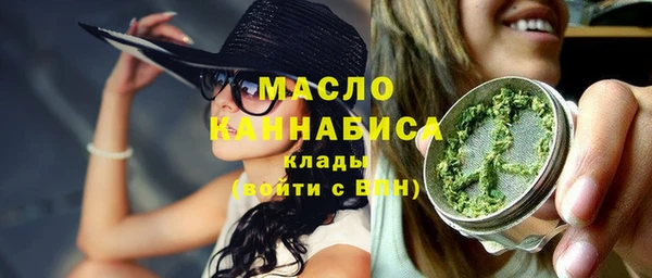 spice Богородицк