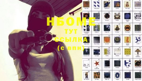 spice Богородицк